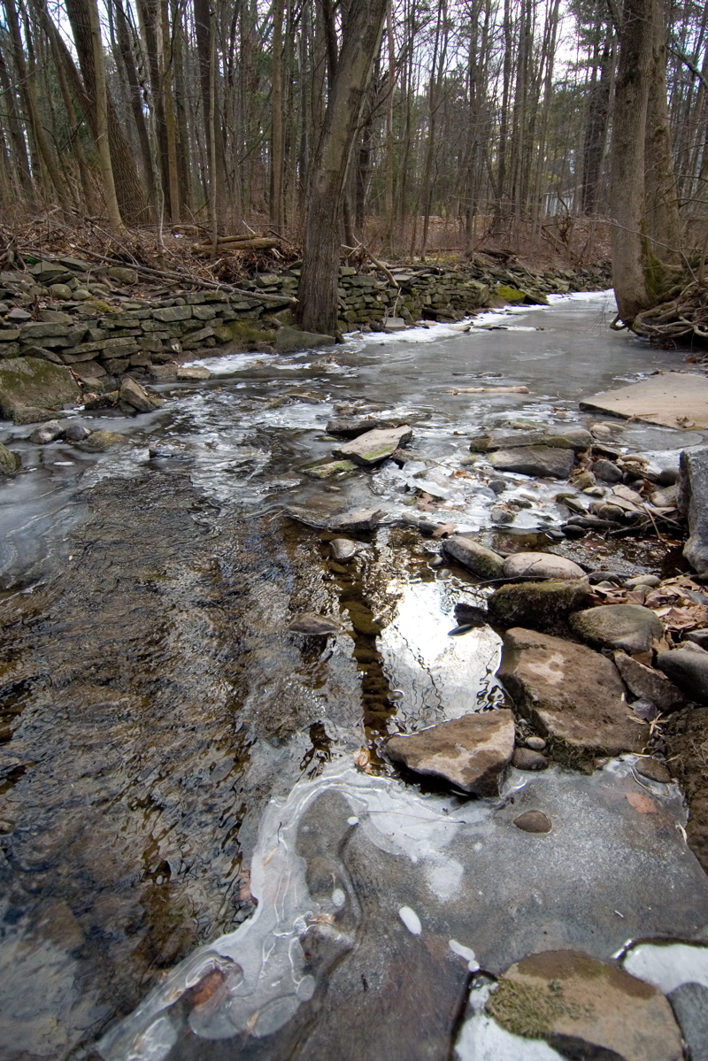 Woodstock - Stream